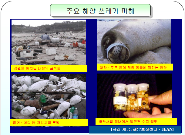 Major examples of harm and damage due to marine litter
