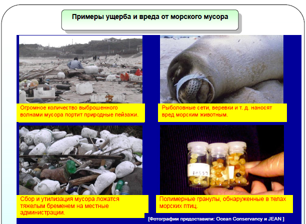 Ущерб и вред от морского мусора