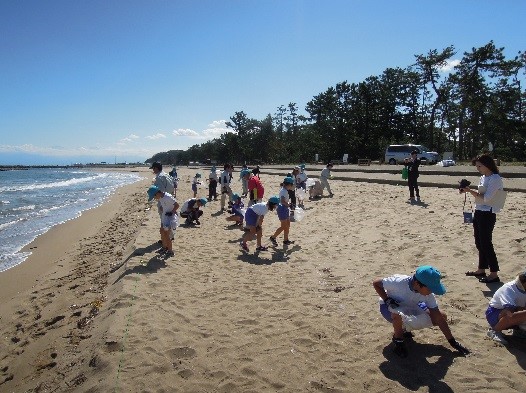 Children surveying washed-up driftage on the beach