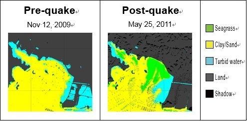 Example of analysis by remote sensing (Matsushima Bay,Miyagi)