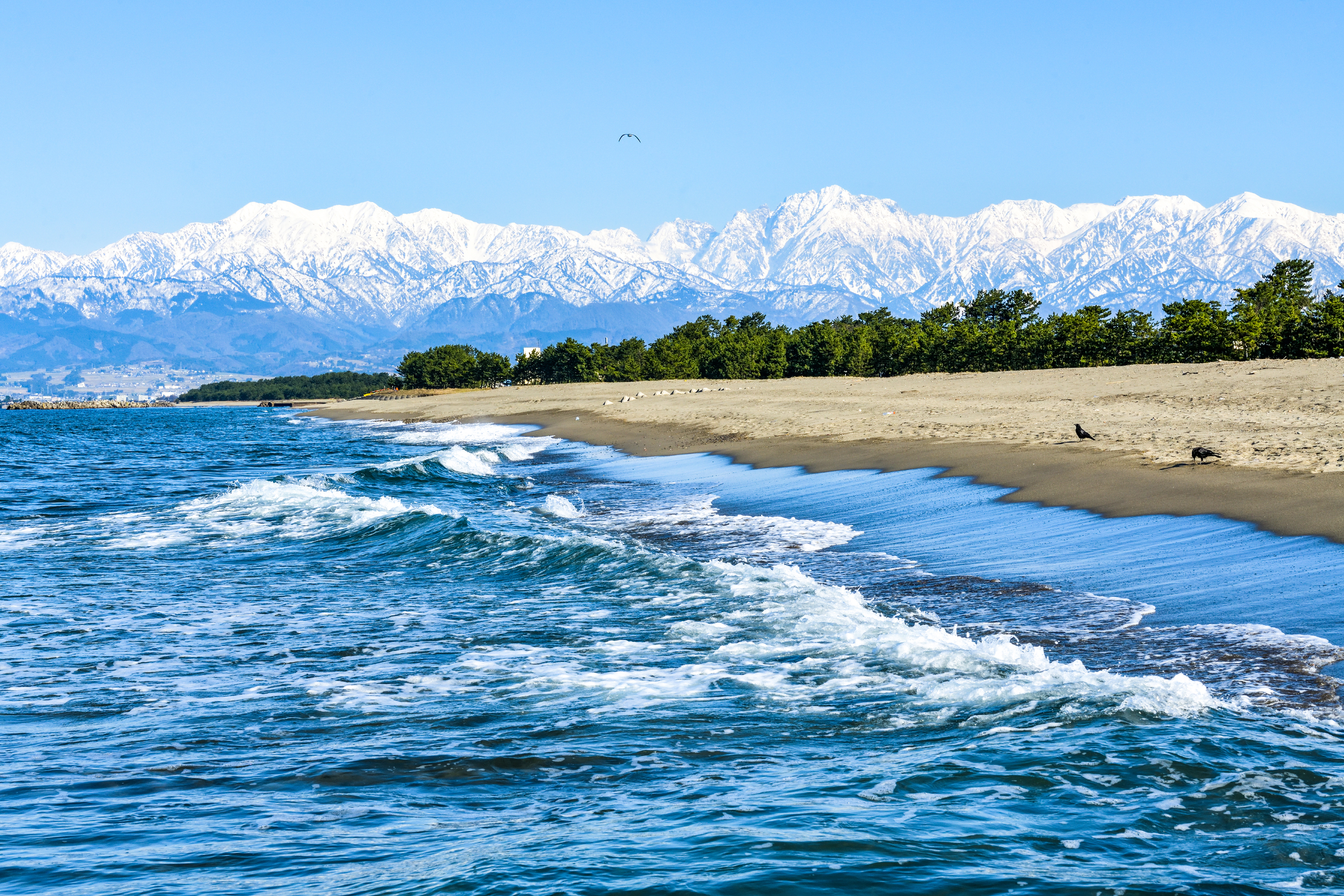 Toyama Bay
