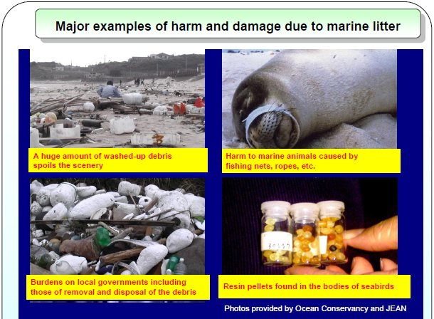 Major examples of harm and damage due to marine litter