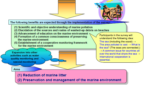 The meaning of the survey of washed-up debris