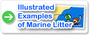 Illustrated Examples of Marine Litter