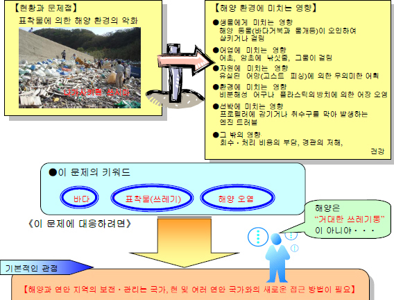 The meaning of the survey of washed-up debris