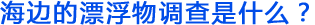 海边的漂浮物调查是什么？
