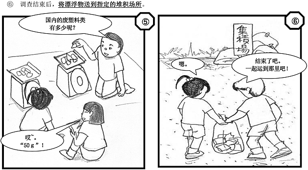 Conducting the Survey of Washed-up Debris on Beaches